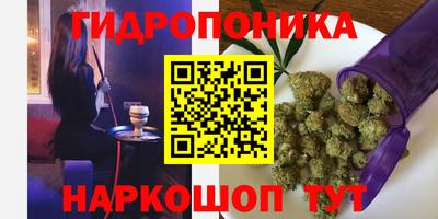 прущие грибы Свободный