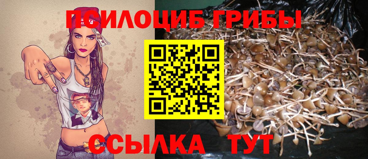 Псилоцибиновые грибы ЛСД Прокопьевск
