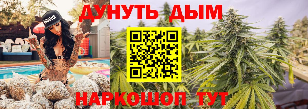 Бошки Шишки план Прокопьевск